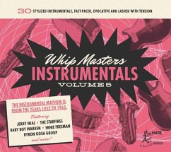 Whip Masters Instrumental Vol.5 - Various Artists