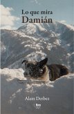 Lo que mira Damián (eBook, ePUB)