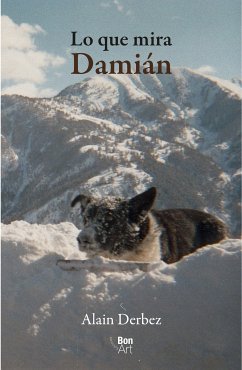 Lo que mira Damián (eBook, ePUB) - Derbez, Alain