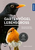 Gartenvögel lebensgroß (eBook, PDF)