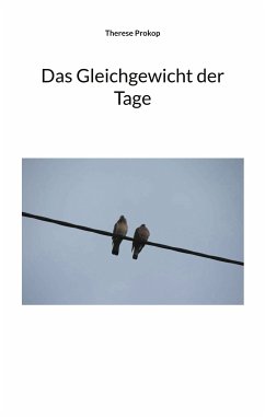 Das Gleichgewicht der Tage (eBook, ePUB)