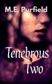 Tenebrous Two (Tenebrous Chronicles) (eBook, ePUB) Tenebrous Two (Tenebrous Chronicles) (eBook, ePUB)