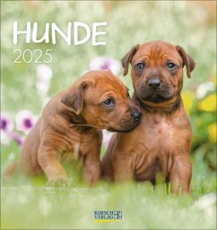 Hunde 2025