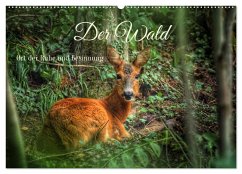 Der Wald - Ort der Ruhe und Besinnung (Wandkalender 2025 DIN A2 quer), CALVENDO Monatskalender