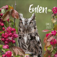 Eulen 2025