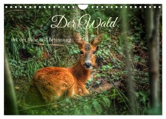 Der Wald - Ort der Ruhe und Besinnung (Wandkalender 2025 DIN A4 quer), CALVENDO Monatskalender