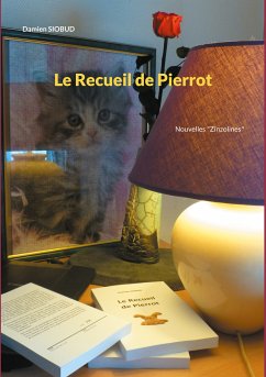 Le Recueil de Pierrot (eBook, ePUB)