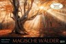 Magische Wälder 2025 - Bild 1