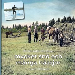 På den tiden det fanns mycket snö och många hässjor (eBook, ePUB) - Östlund, Karina