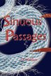 Sinuous Passages - Bild 1