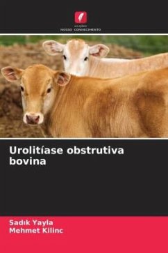 Urolitíase obstrutiva bovina - Yayla, Sadik;KILINC, Mehmet