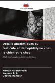 Détails anatomiques du testicule et de l'épididyme chez le chien et le chat