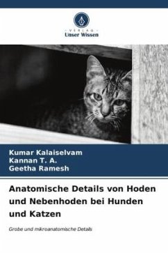 Anatomische Details von Hoden und Nebenhoden bei Hunden und Katzen - KALAISELVAM, KUMAR;T. A., Kannan;Ramesh, Geetha