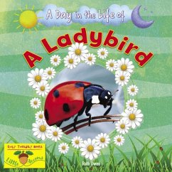 Cover A Ladybird