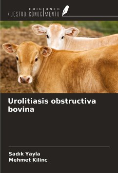 Cover Urolitiasis obstructiva bovina