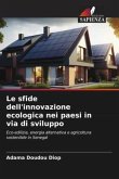 Le sfide dell'innovazione ecologica nei paesi in via di sviluppo