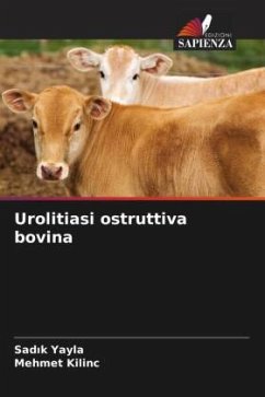 Urolitiasi ostruttiva bovina - Yayla, Sadik;KILINC, Mehmet