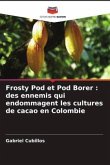 Frosty Pod et Pod Borer : des ennemis qui endommagent les cultures de cacao en Colombie