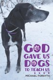 God Gave Us Dogs to Teach Us. . . . (eBook, ePUB)