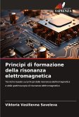Principi di formazione della risonanza elettromagnetica Principi di formazione della risonanza elettromagnetica