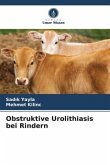 Obstruktive Urolithiasis bei Rindern