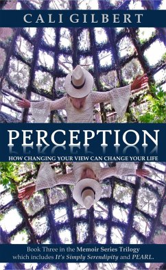 Perception (Memoirs, #3) (eBook, ePUB) Cover Perception (Memoirs, #3) (eBook, ePUB)