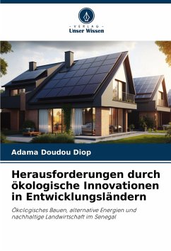 Herausforderungen durch ökologische Innovationen in Entwicklungsländern - Diop, Adama Doudou