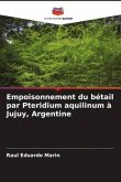 Empoisonnement du bétail par Pteridium aquilinum à Jujuy, Argentine