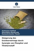 Steigerung des Grünkernertrags durch Synergie von Phosphor und Thioharnstoff