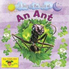 Cover An Ant