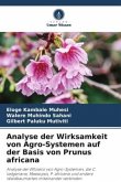Analyse der Wirksamkeit von Agro-Systemen auf der Basis von Prunus africana
