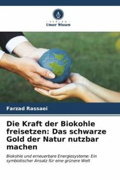 Die Kraft der Biokohle freisetzen: Das schwarze Gold der Natur nutzbar machen - Rassaei, Farzad