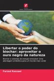 Libertar o poder do biochar: aproveitar o ouro negro da natureza