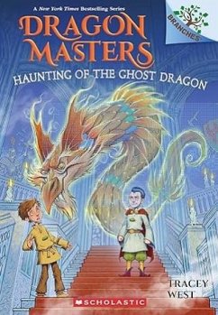 Cover Drachenmeister 27: Der Spuk des Geisterdrachen