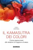 Il Kamasutra dei colori (eBook, ePUB)