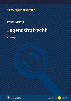 Jugendstrafrecht - Streng, Franz