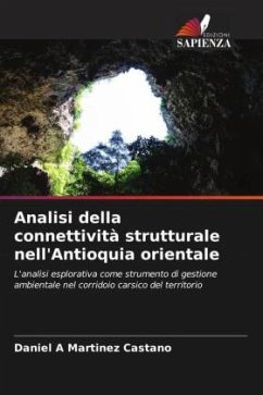 Analisi della connettività strutturale nell'Antioquia orientale - Martinez Castano, Daniel A