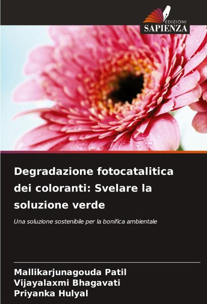 Degradazione fotocatalitica dei coloranti: Svelare la soluzione verde Degradazione fotocatalitica dei coloranti: Svelare la soluzione verde