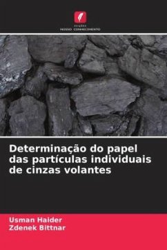 Determinação do papel das partículas individuais de cinzas volantes - Haider, Usman;Bittnar, Zdenek