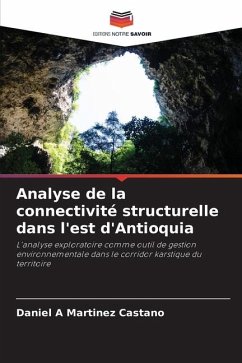 Analyse de la connectivité structurelle dans l'est d'Antioquia - Martinez Castano, Daniel A