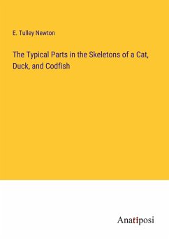 The Typical Parts in the Skeletons of a Cat, Duck, and Codfish - Newton, E. Tulley