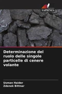 Determinazione del ruolo delle singole particelle di cenere volante - Haider, Usman;Bittnar, Zdenek