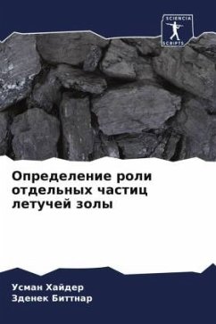 Opredelenie roli otdel'nyh chastic letuchej zoly - Hajder, Usman;Bittnar, Zdenek