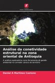 Análise da conetividade estrutural na zona oriental de Antioquia