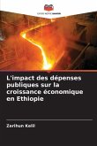L'impact des dépenses publiques sur la croissance économique en Ethiopie