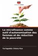 La microfinance comme outil... - Bild 1