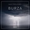 Nastrojowo - Burza (MP3-Download) - Bild 1