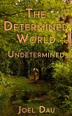 The Determined World - Undetermined (Book 2) (eBook, ePUB)