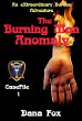 The Burning Man Anomaly (eBook, ePUB) - Bild 1
