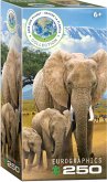Eurographics 8251-5787 - Elefanten, Save Our Planet Puzzles, 250 Teile